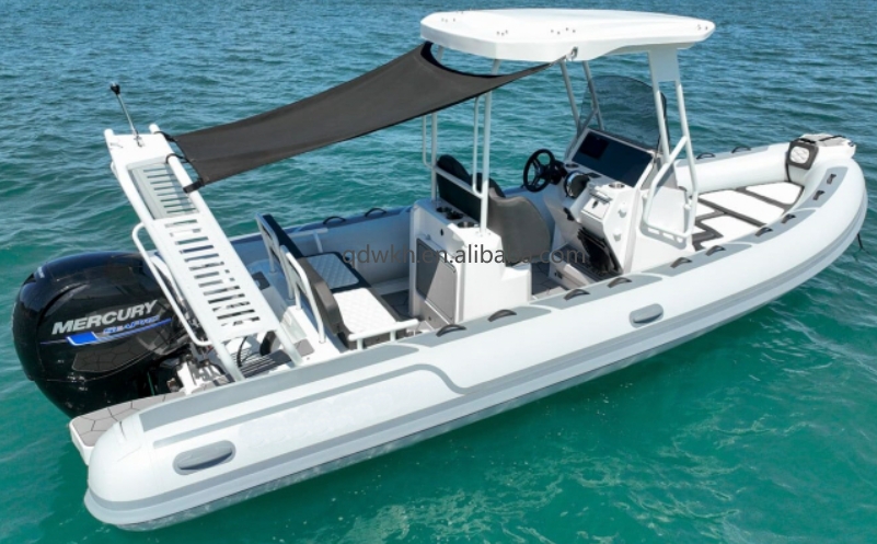 MSCE معتمد الرياضة نمط مزدوج ن - مراجعة Fishing Boat Fiberglass وسعره